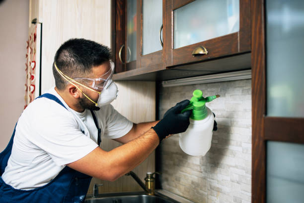 Best Termite Control Services  in Blair, NE