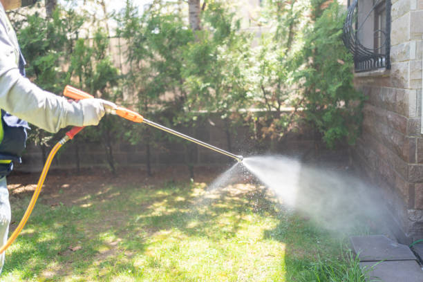 Professional Pest Control in Blair, NE