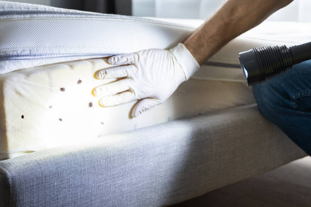 Best Best Pest Control Companies  in Blair, NE